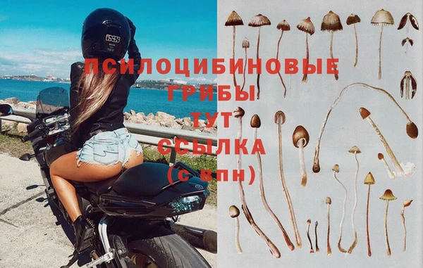 трава Пересвет