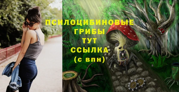 трава Пересвет