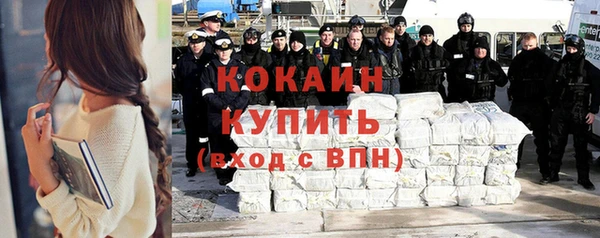 винт Абаза