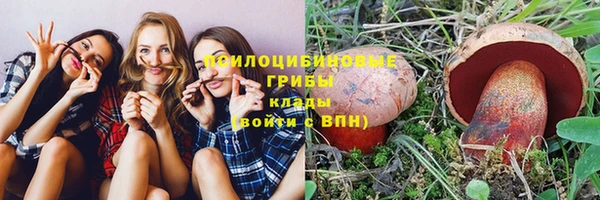 винт Абаза