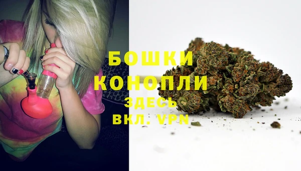PSILOCYBIN Абинск