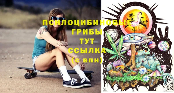 PSILOCYBIN Абинск